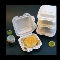 Compostable Square Hinged Clamshell Food Containers 9x9- Heavy Duty Disposable to go Containers, Eco-Friendly Takeout Box, Bagasse Fiber