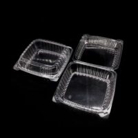 Hinged Rectangle Take out Container Color-Clear