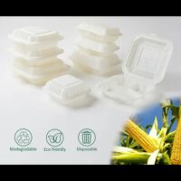 Manufacturer Biodegradable Cornstarch Food Container Disposable Takeout Take out Clamsell Box Packaging Tableware