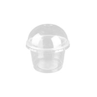 10 oz Clear Plastic Containers