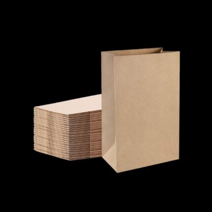 3lb Kraft Brown Paper Bag