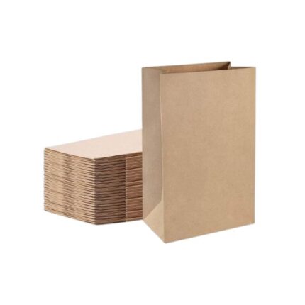 10lb Kraft Brown Paper Bag