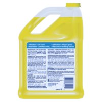 3.78 L All Purpose Cleaner Liquid