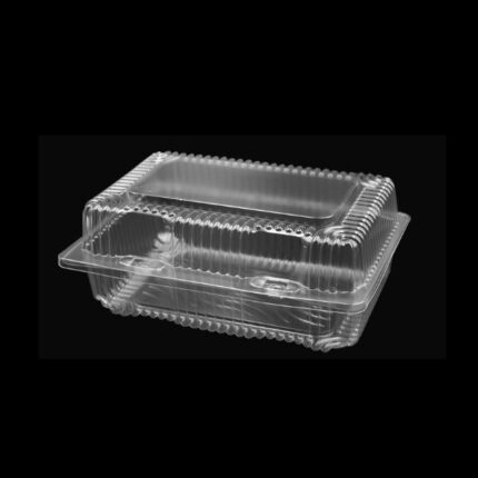 Clear Shallow Lunch Containers