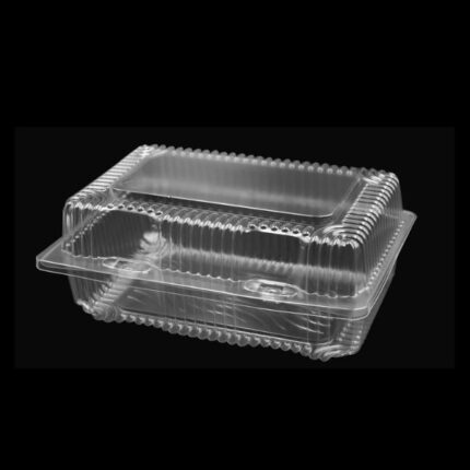 Durable Clear Lunch Containers