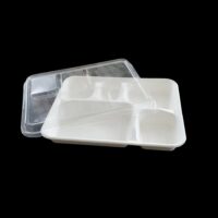 5 compartment plastic containers