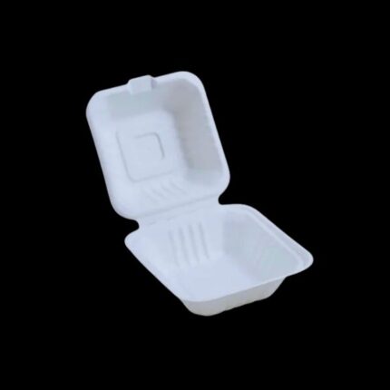 5x5 Clamshell box bagasse